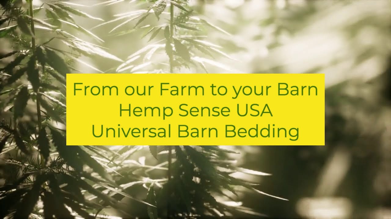 FROM OUR FARM TO YOUR BARN- HEMP SENSE UNIVERSAL BARN BEDDING 100% ALL NATURAL HEMP