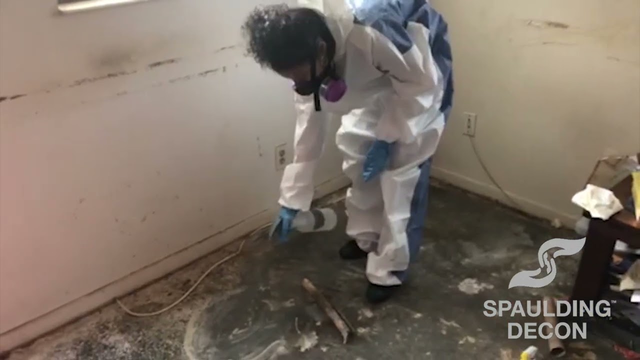 Step-by-Step Biohazard Cleanup: Behind the Scenes with Our Team
