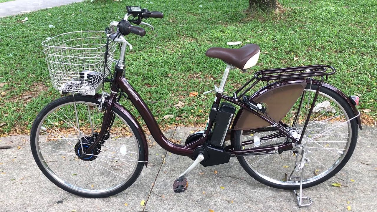 X251 : Xe đạp điện trợ lực độ pin Lion & tay ga . Động cơ 36V tốc độ khủng - hàng độc - 0909775445