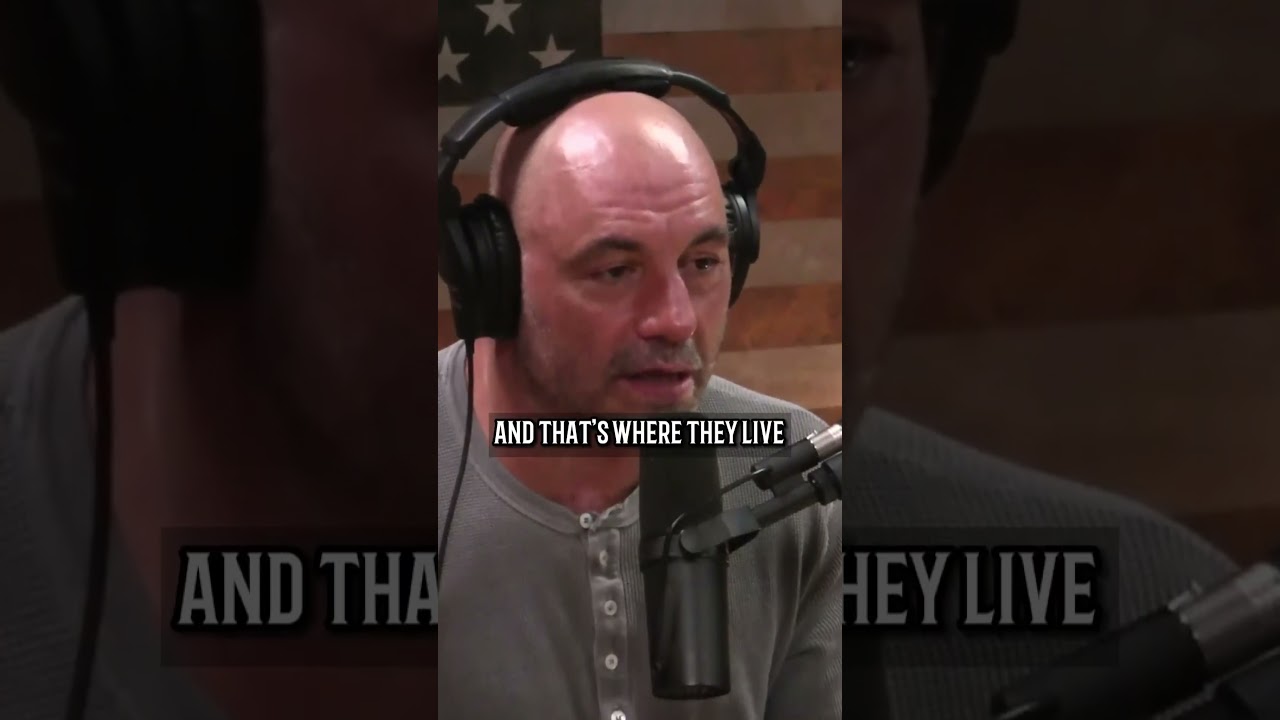 Living In Japanese 24-Hour Cyber Cafes - Joe Rogan Podcast