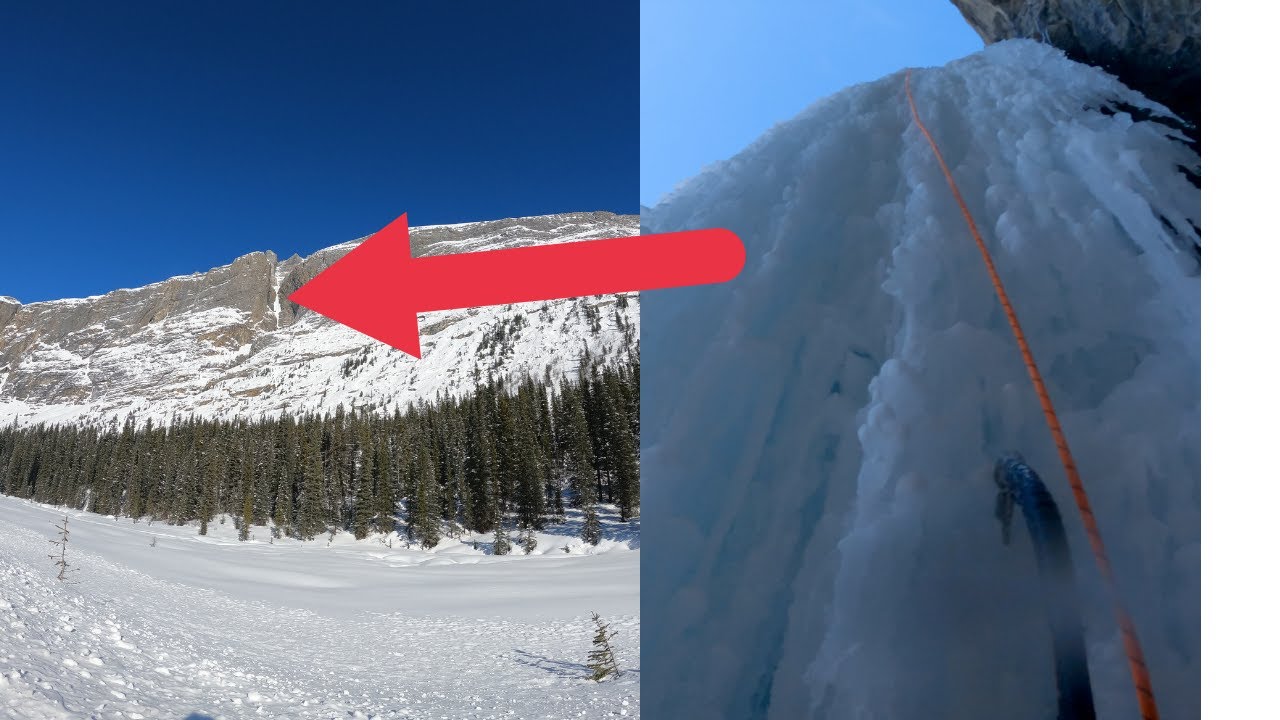 I Couldn't Believe My Partner Picked This Line! (Polar Circus)