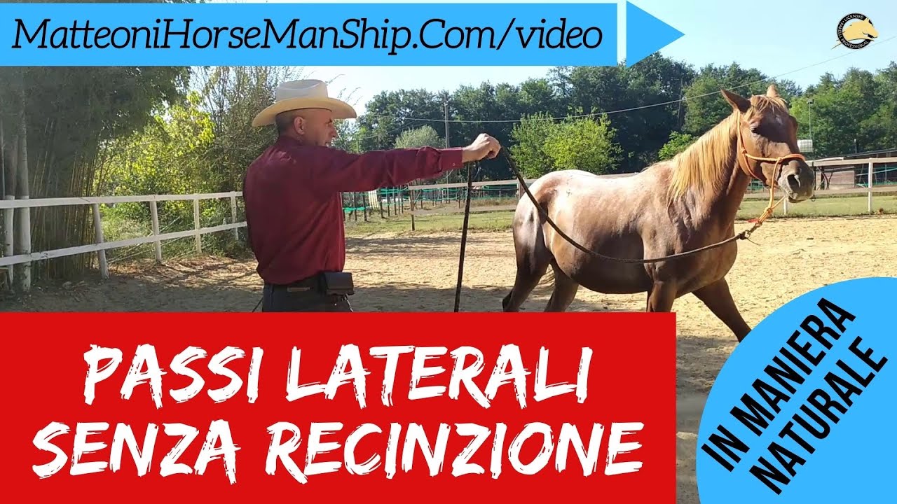 Come insegnare al cavallo i passi laterali senza recinzione