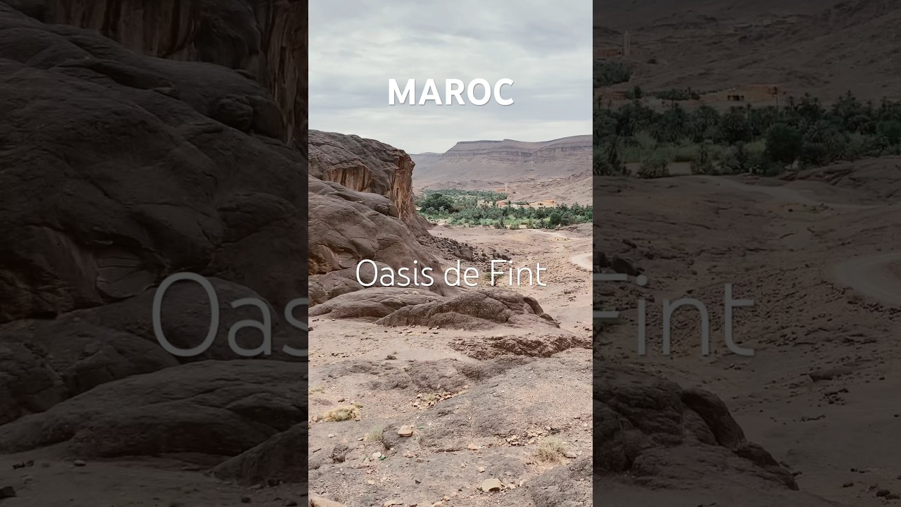 MAROC - Oasis de Fint (Ouarzazate) #maroc #oasis #oasisdefint #ouarzazate #travelvlog #travelcouple