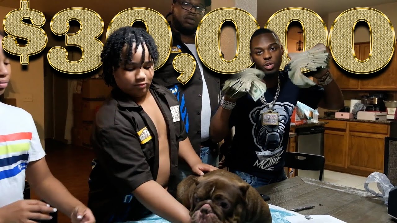 10 Year Old Becomes First Franchise owner & Co Owner To Dope American Bully Female!