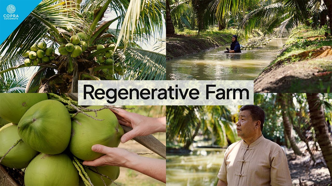Growing with purpose 🌱 Our Regenerative Farm in Ratchaburi, Thailand 🇹🇭