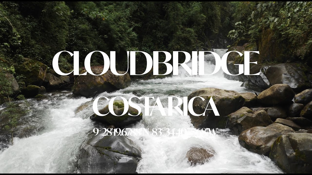 Cloudbridge -- Costa Rica (a wildlife short film) Part 2