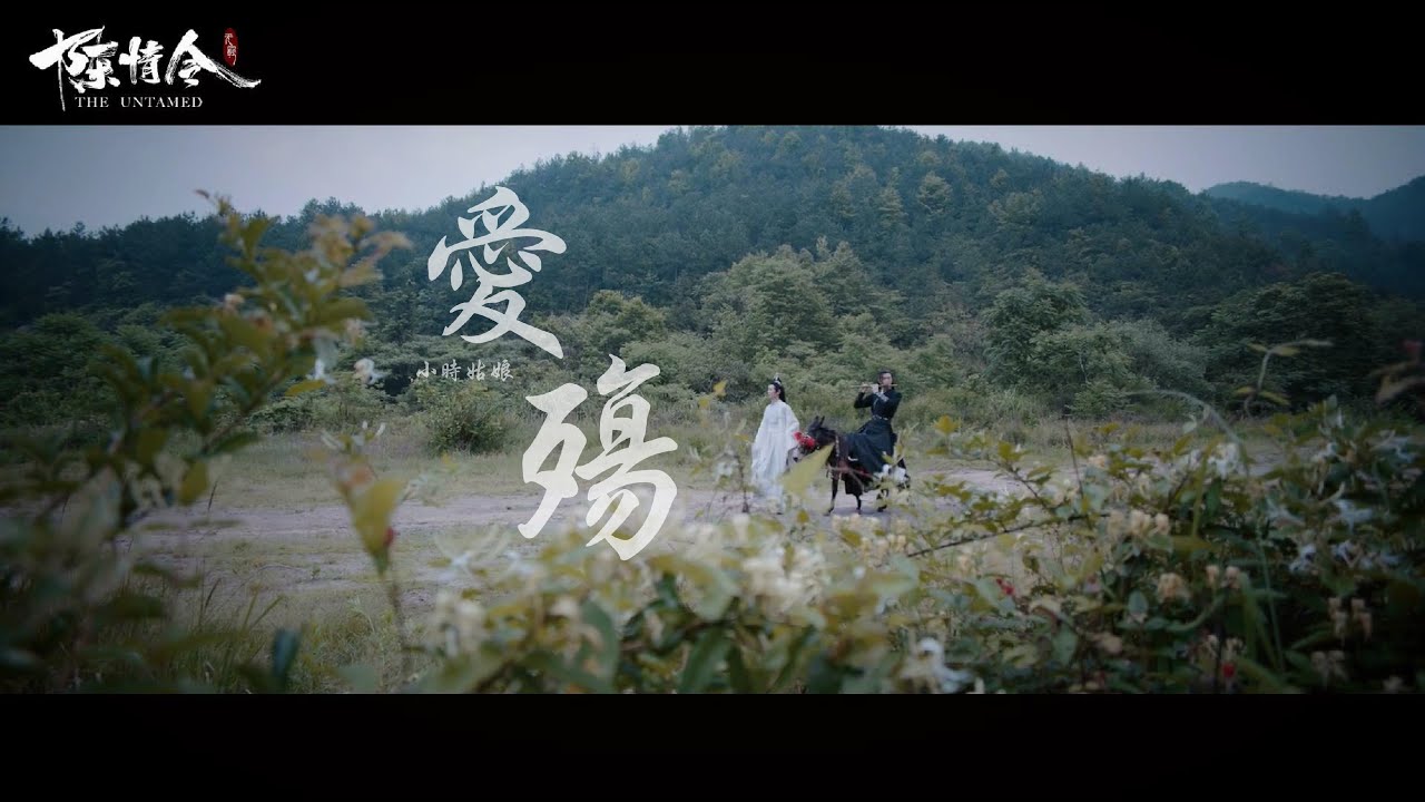 【陈情令TheUntamed】爱殇Ai Shang