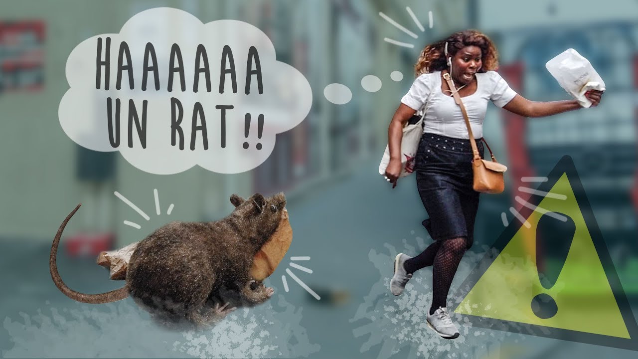 [ PRANK ] Un Rat attaque les gens ! 😅  / réaction incroyable - DIMI