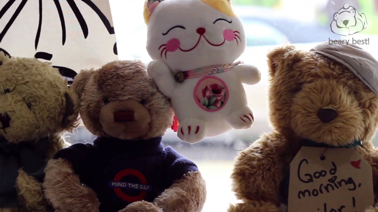 Introducing Beary Best Hostel Singapore