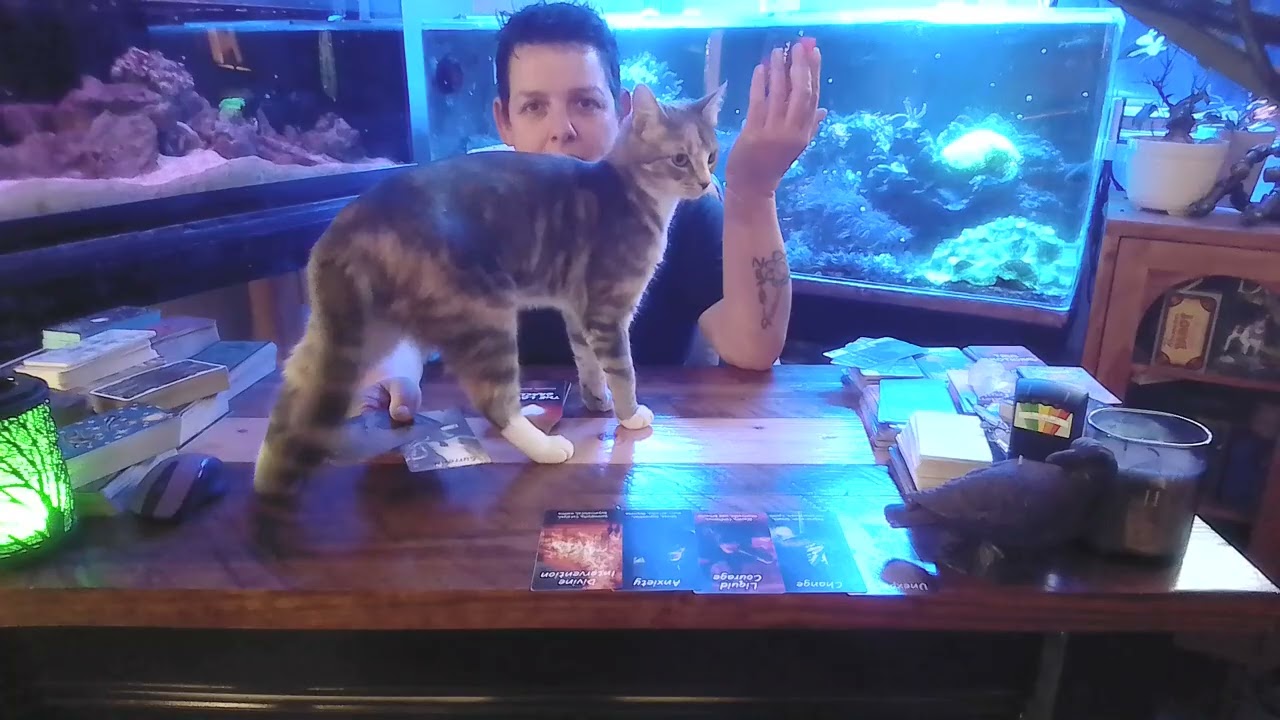 Лев, внезапно наступает тишина! 👀 #лев #таро #часы