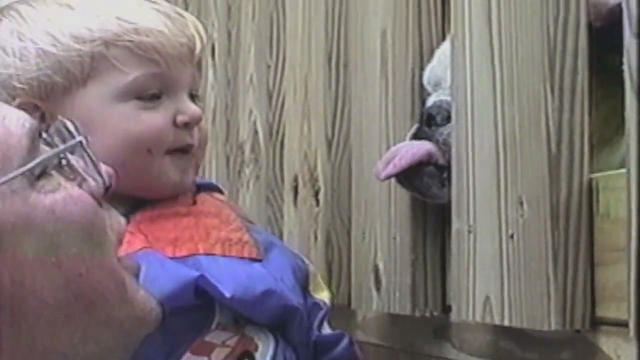 O2 sponsors the big big theory (2013-2014)