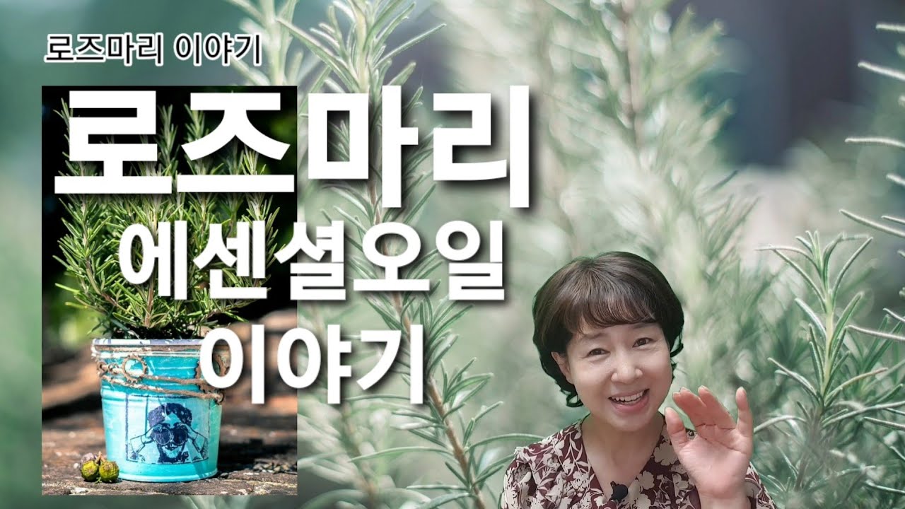 로즈마리 에센셜오일 이야기