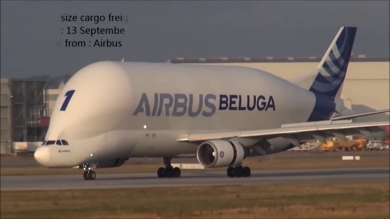 Airbus Beluga Vs  Boeing Dreamlifter