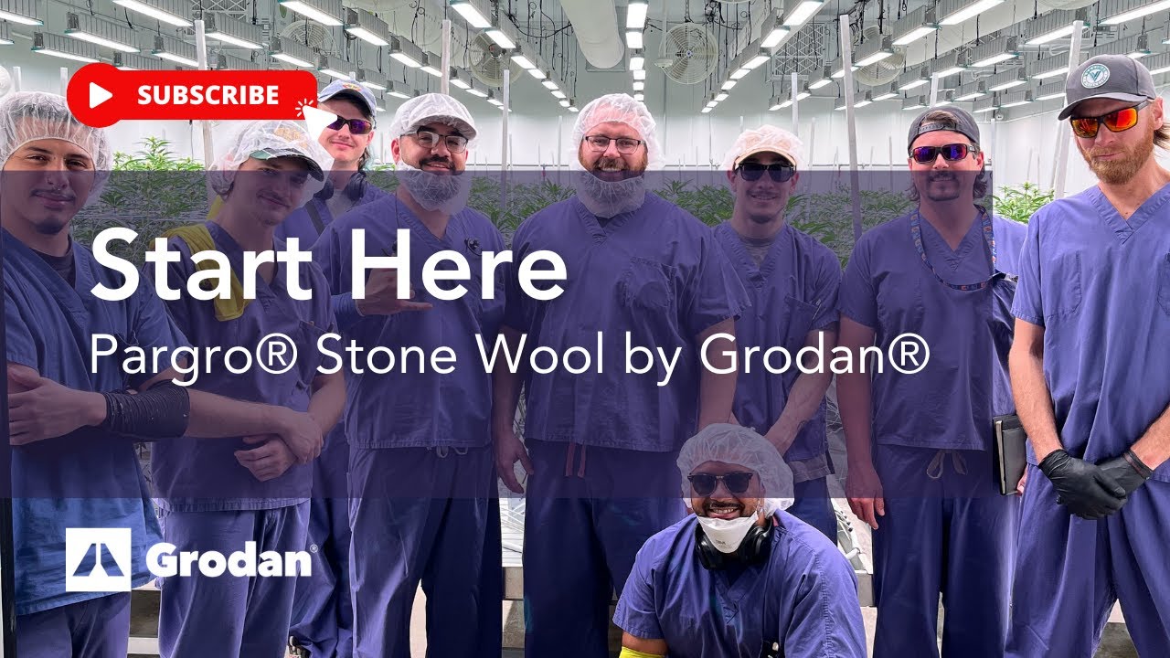 Start Here in Pargro&reg; by Grodan&reg;