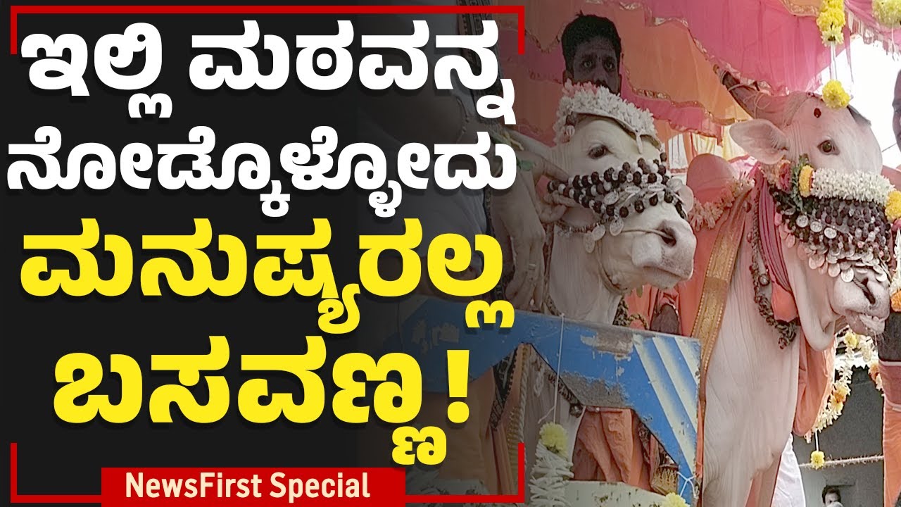 Srisaila ಶಾಖಾ ಮಠದಲ್ಲಿ ನಡೆಯುವ ವಿಸ್ಮಯಗಳು ಏನೇನು ಗೊತ್ತಾ? | Guddadamadapur Mukappa Swamy | NewsFirst