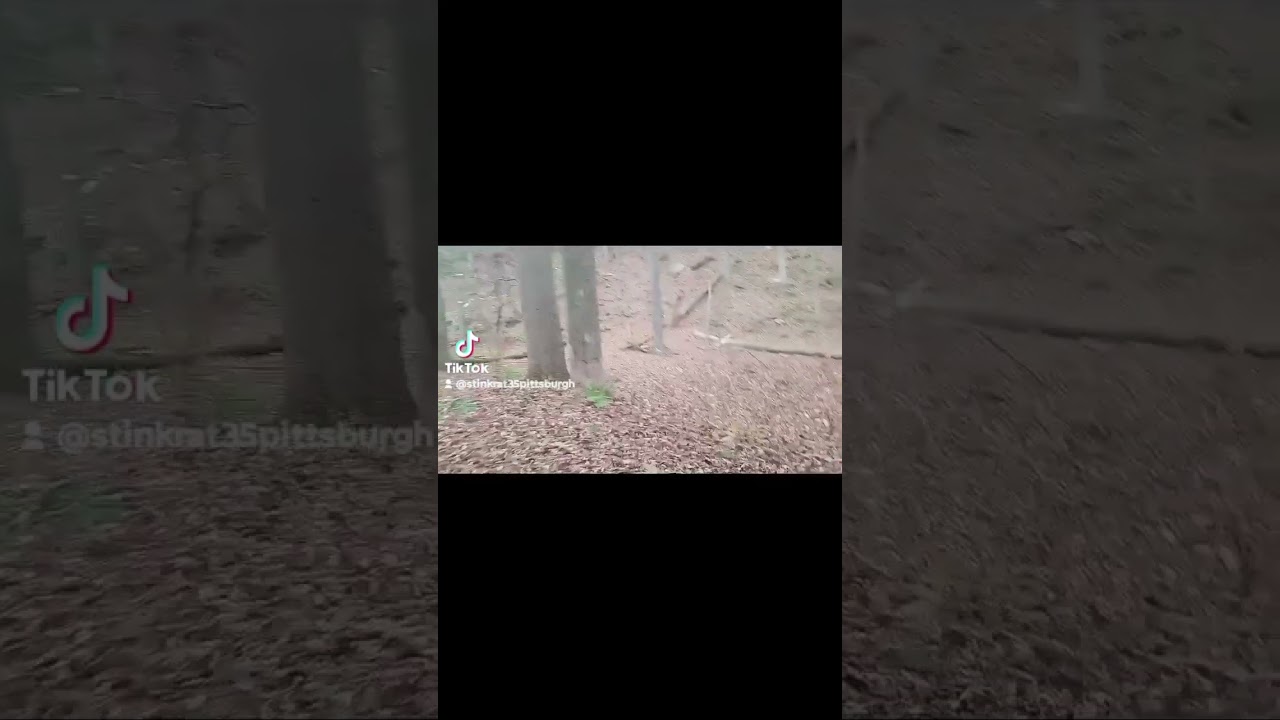 No Camping!? 