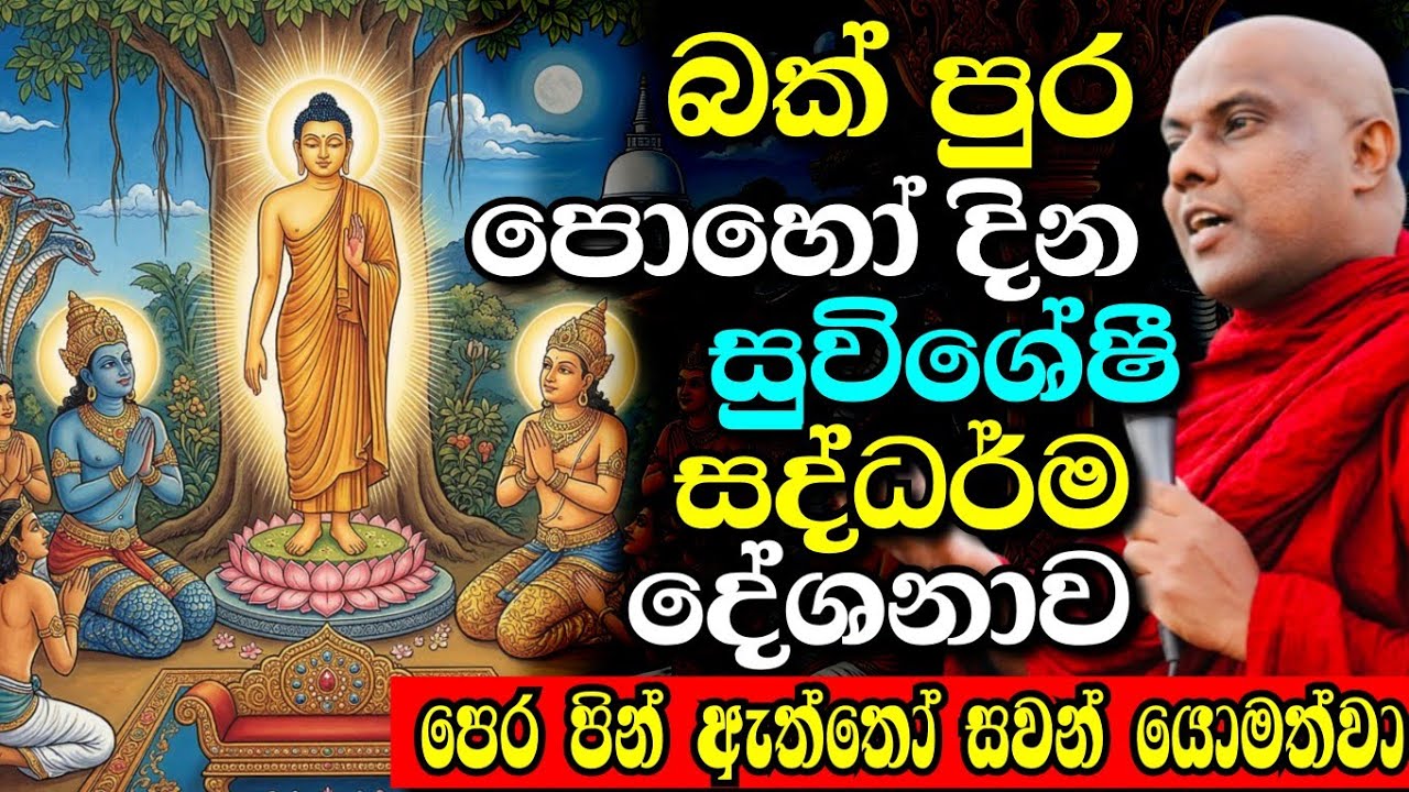 බක් පුර පොහොය දින විශේෂ ධර්ම දේශනය | galigamuwe gnanadeepa thero bana | darma deshana |2026 Bak poya