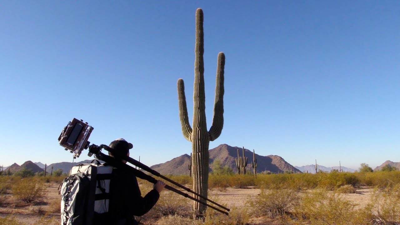 Photography On Location: Sonoran Desert Saguaros (Pt. 2)