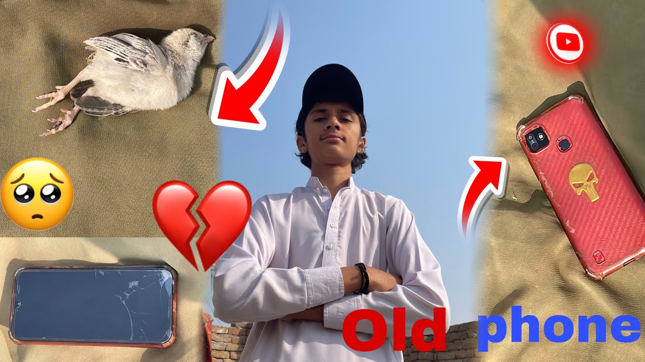#Phone reveal ￼Kara👀￼ or ￼chicks￼￼ ￼dad Ho Chu Katta 😭🥲❤️ ￼#Chicks #dad #aseel