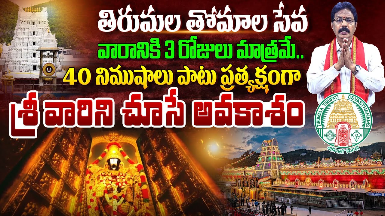 తిరుమల తోమాల సేవ Srivari Thomala Seva Details Telugu 40 నిమిషాల పాటు స్వామి వారిని చూసే అవకాశం