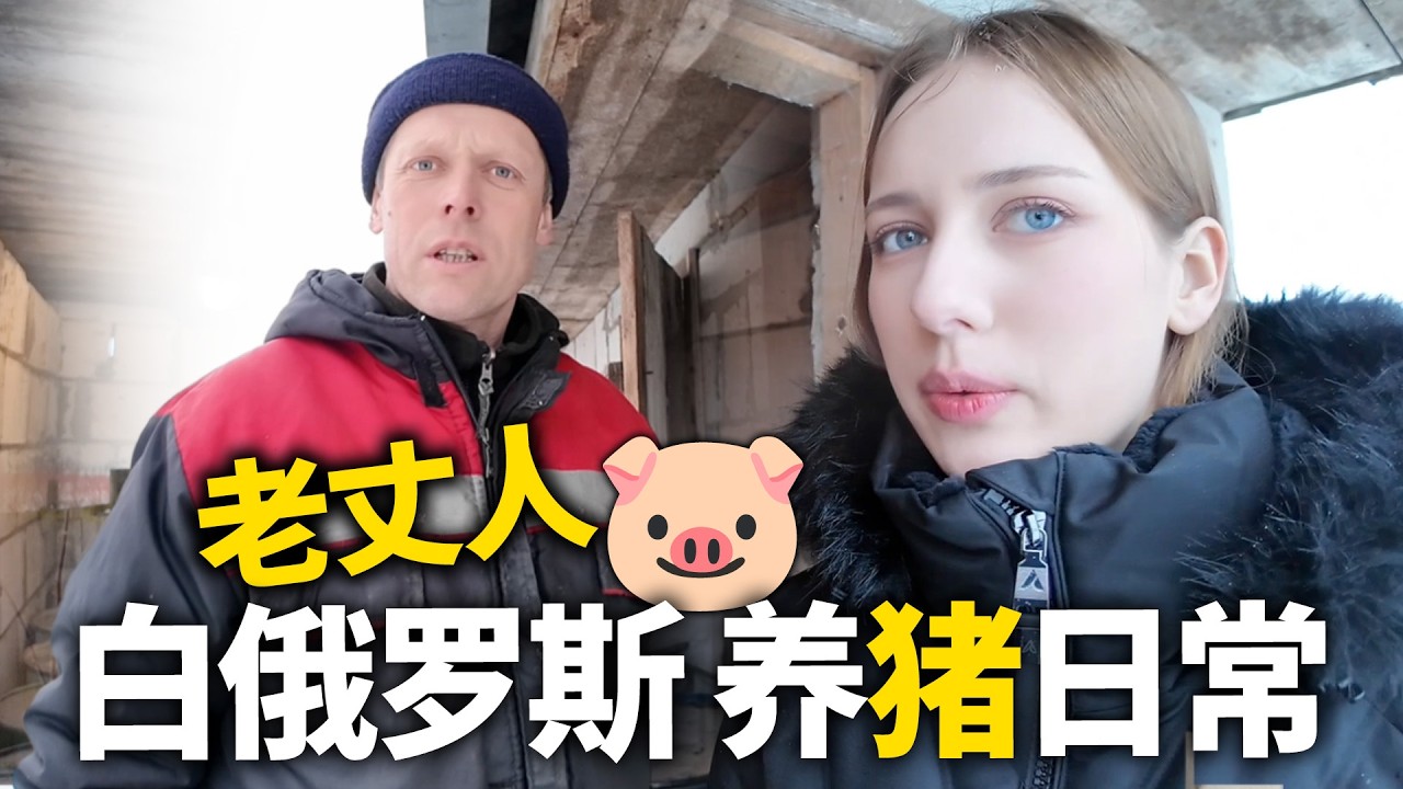 白俄罗斯老丈人养猪日常！