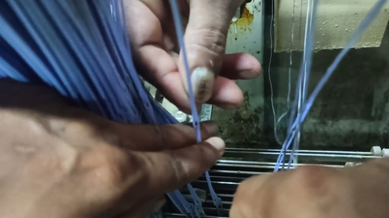 ওয়াটার জেট মেশিনের বয়া ও রিড এর মধ্যে সুতো ডুকে কি ভাবে মেশিন রানিং করতে হয় দেখো