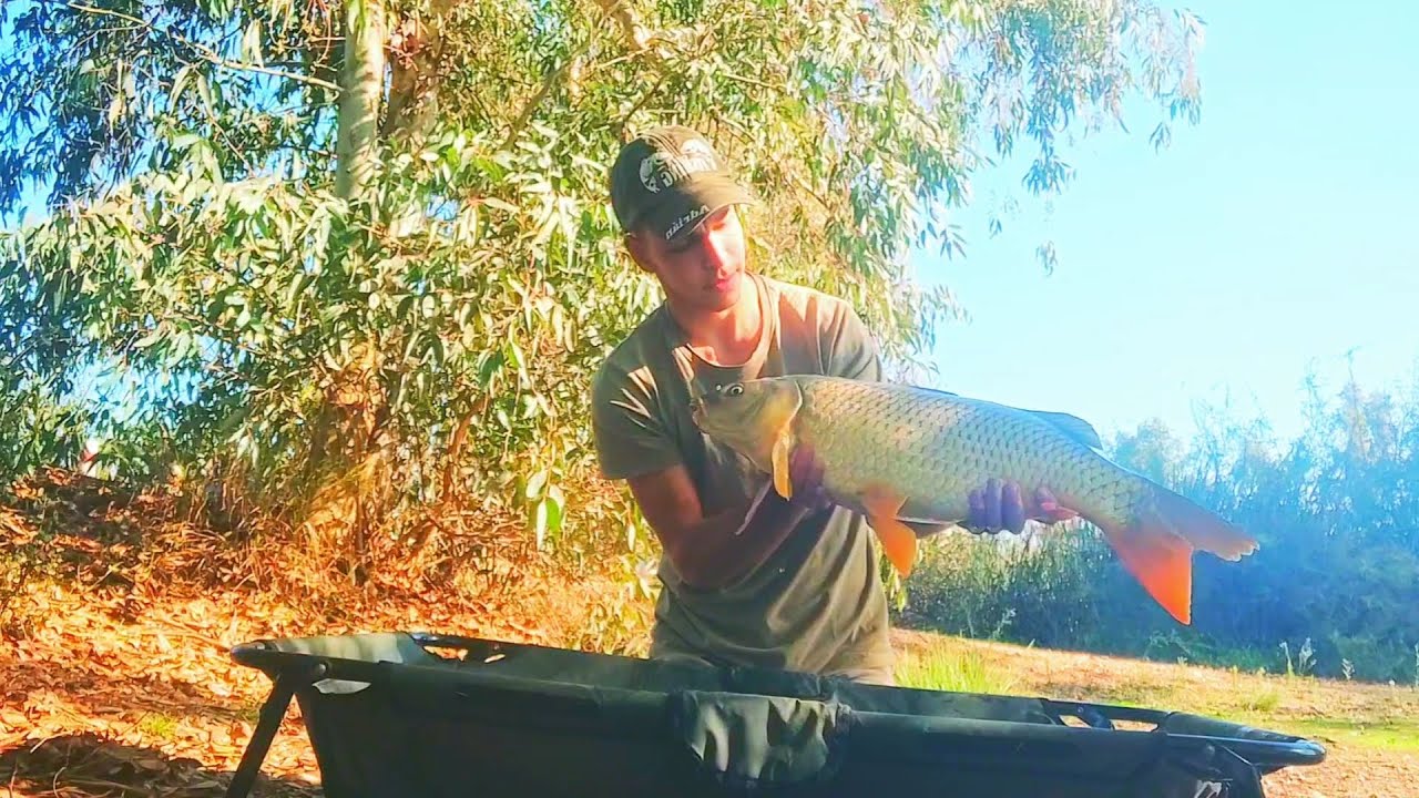Carp Fishing En Puebla de la Calzada