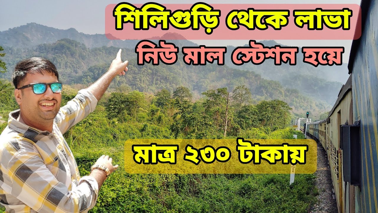 Siliguri to New Mal Junction Train Journey | শেয়ার গাড়িতে লাভা যাওয়ার অভিজ্ঞতা | Siliguri to Lava