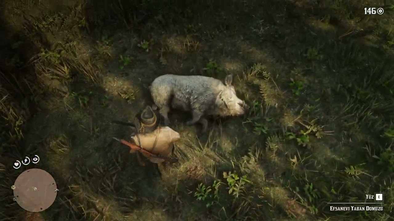 EFSANEVİ DOMUZ NASIL AVLANIR(RED DEAD REDEMPTİON 2 )
