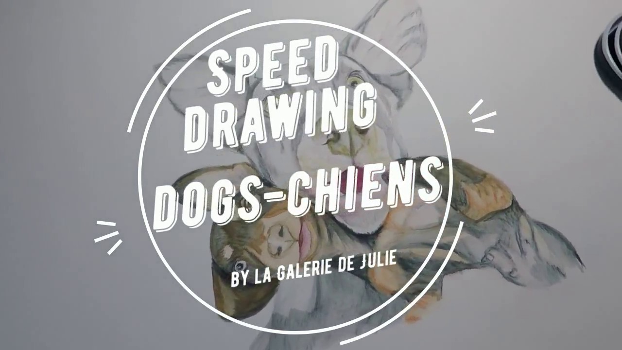 Speed Drawing Dogs / chiens