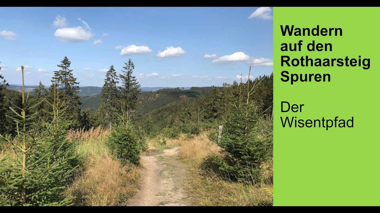 Unterwegs auf den Rothaarsteig Spuren – Der Wisentpfad
