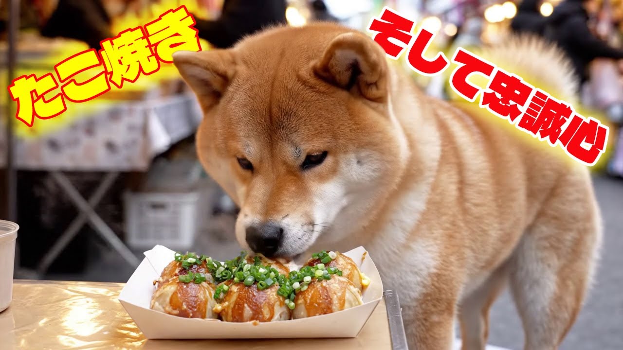 ❄️🐕 冬の日の奇跡：タコ焼きで結ばれたおばあさんとハチ公の、命を救う温かい物語