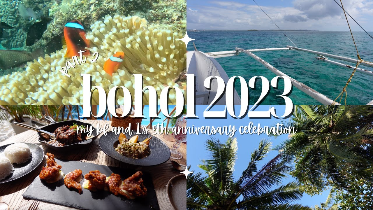 BOHOL VLOG 2023 ♥ pt. 2 (dolphin & turtle watching, fish feeding, island hopping, mosa and mist!)
