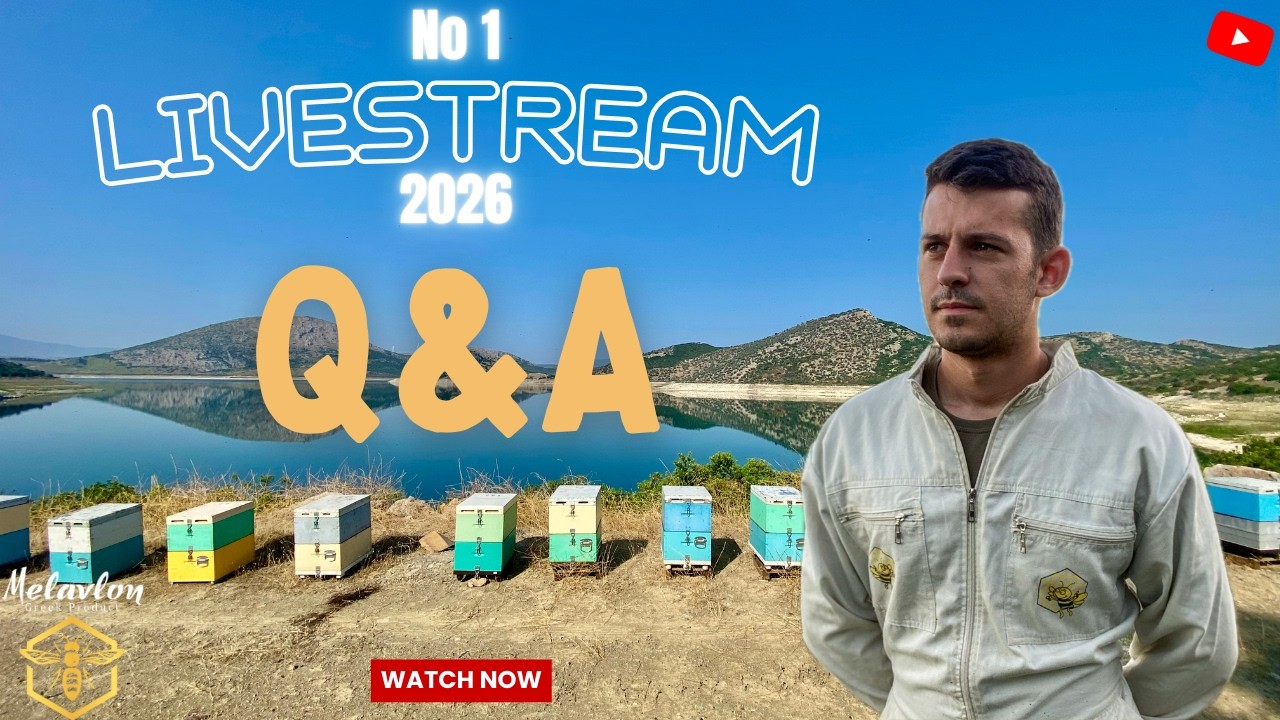 Το 1ο live Q&A για το 2026