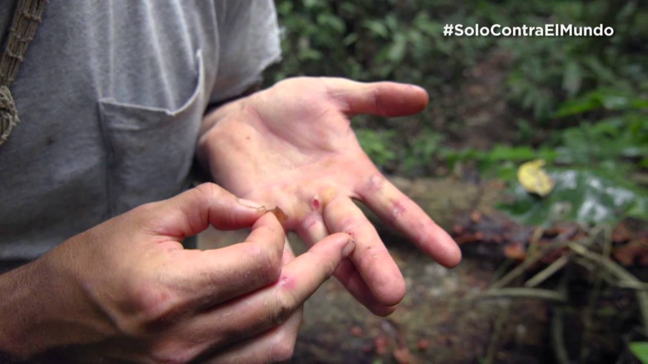 Solo Contra El Mundo | Los  tips de Hazen Audel | Nat Geo