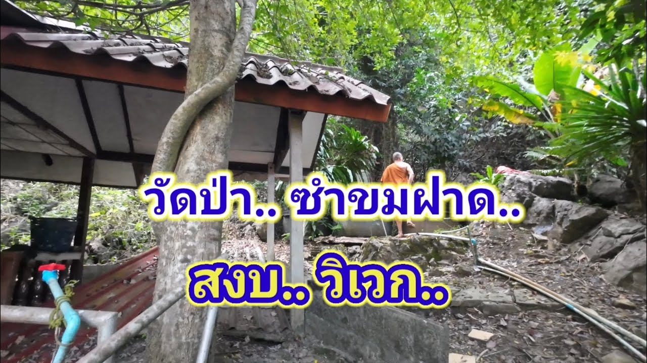 วัดป่าซำขมฝาด.. สงบ.. วิเวก.. 