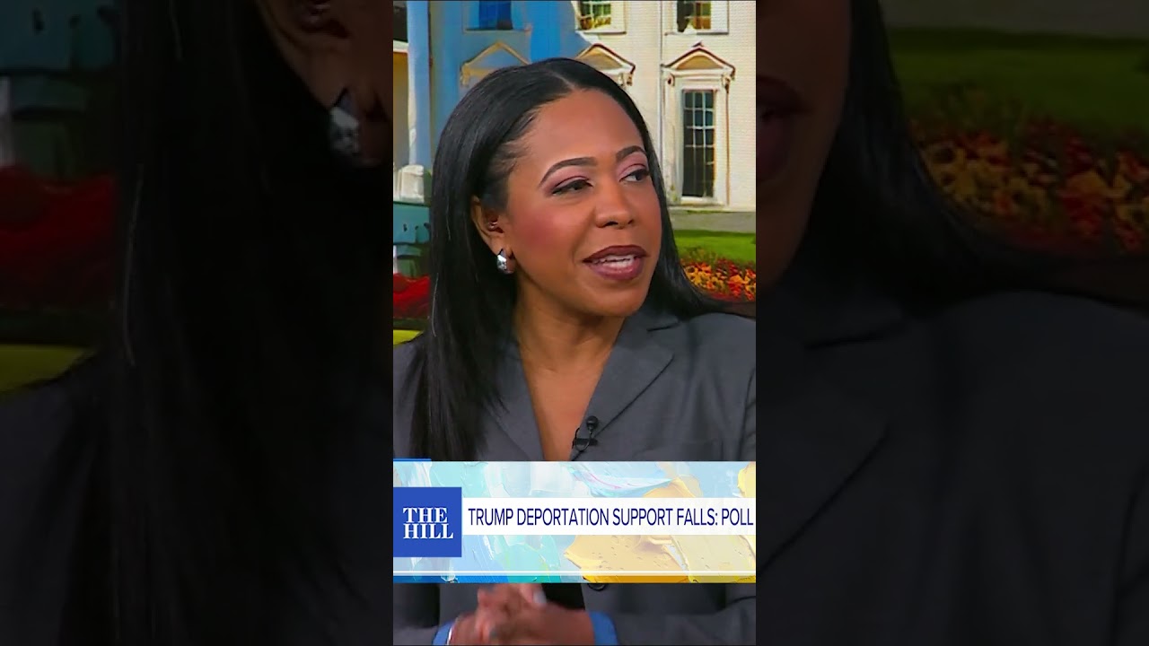 Trump immigration crackdown is not limited to 'worst of the worst': Lindsey Granger | RISING