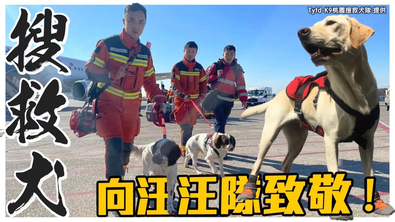 向汪汪隊致敬！全面解析搜救犬！｜熊爸估狗