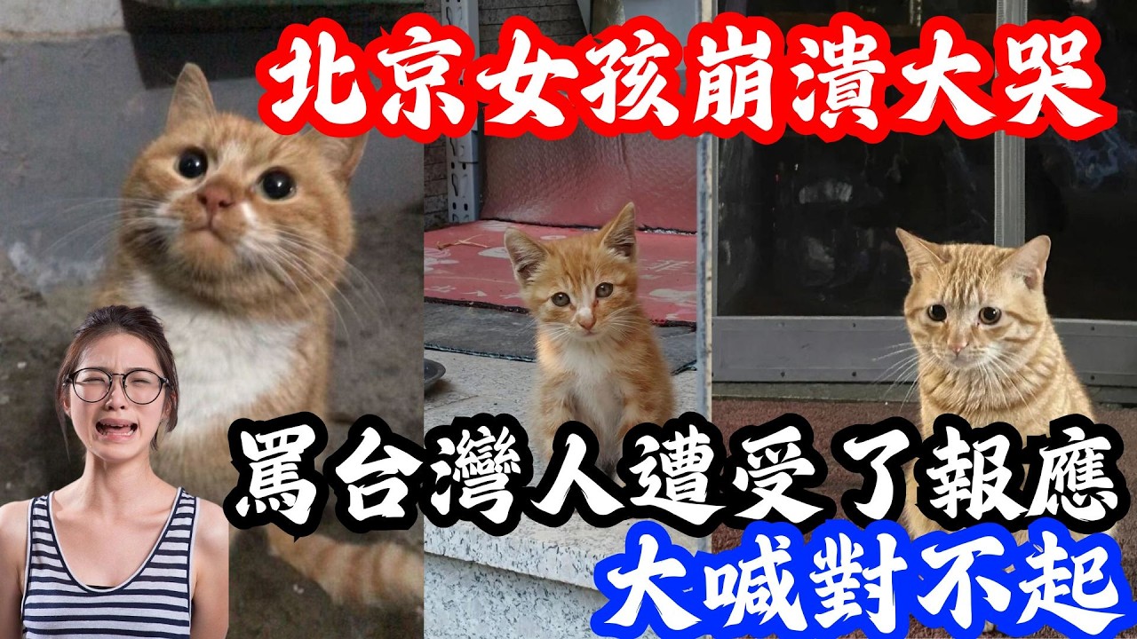 大喊台灣人對不起，北京女孩從「網路噴子」到流淚道歉，被鐵拳錘到徹底覺醒 | 小鄭說 | Reaction Videos