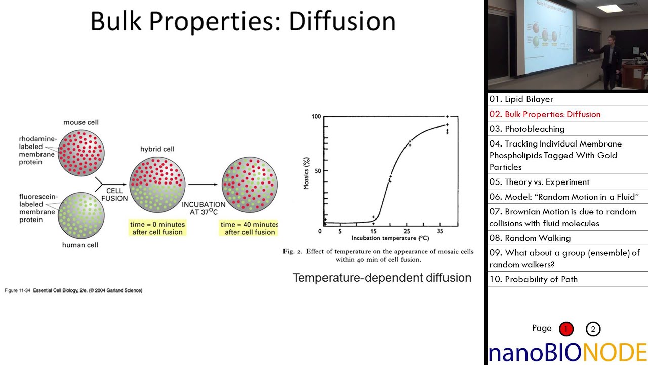 Biophysics 401 Lecture 20: Diffusion I