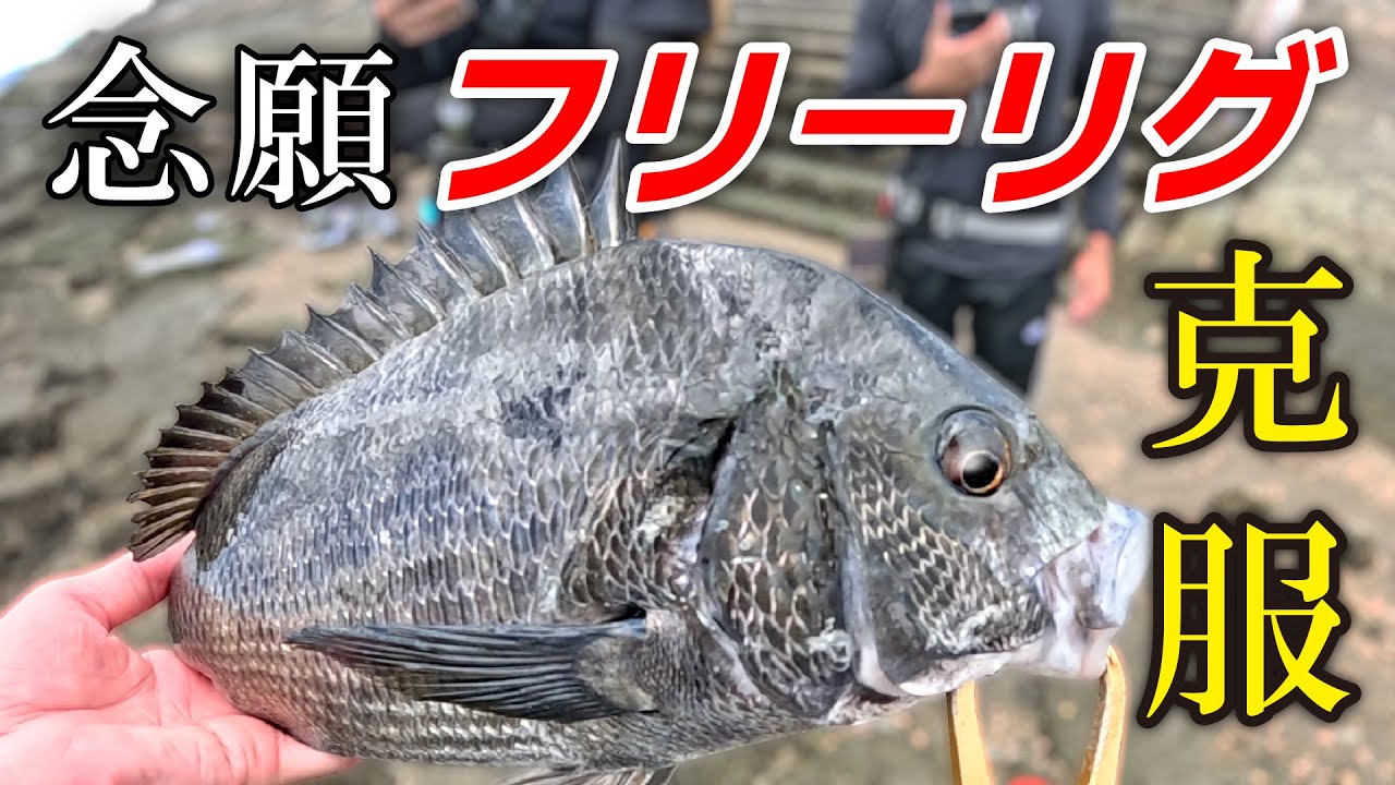 【晩夏の河口】チニング初心者の私に釣らせてください！【フリーリグ】