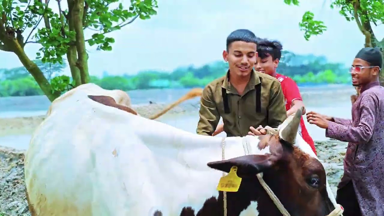 চাচা যখন কু*র*বা*নির গরু কিনে মানুষকে দেখায় 😂🤣। ঈদের ধামাকা বিনোদন ভিডিও ২০২৫