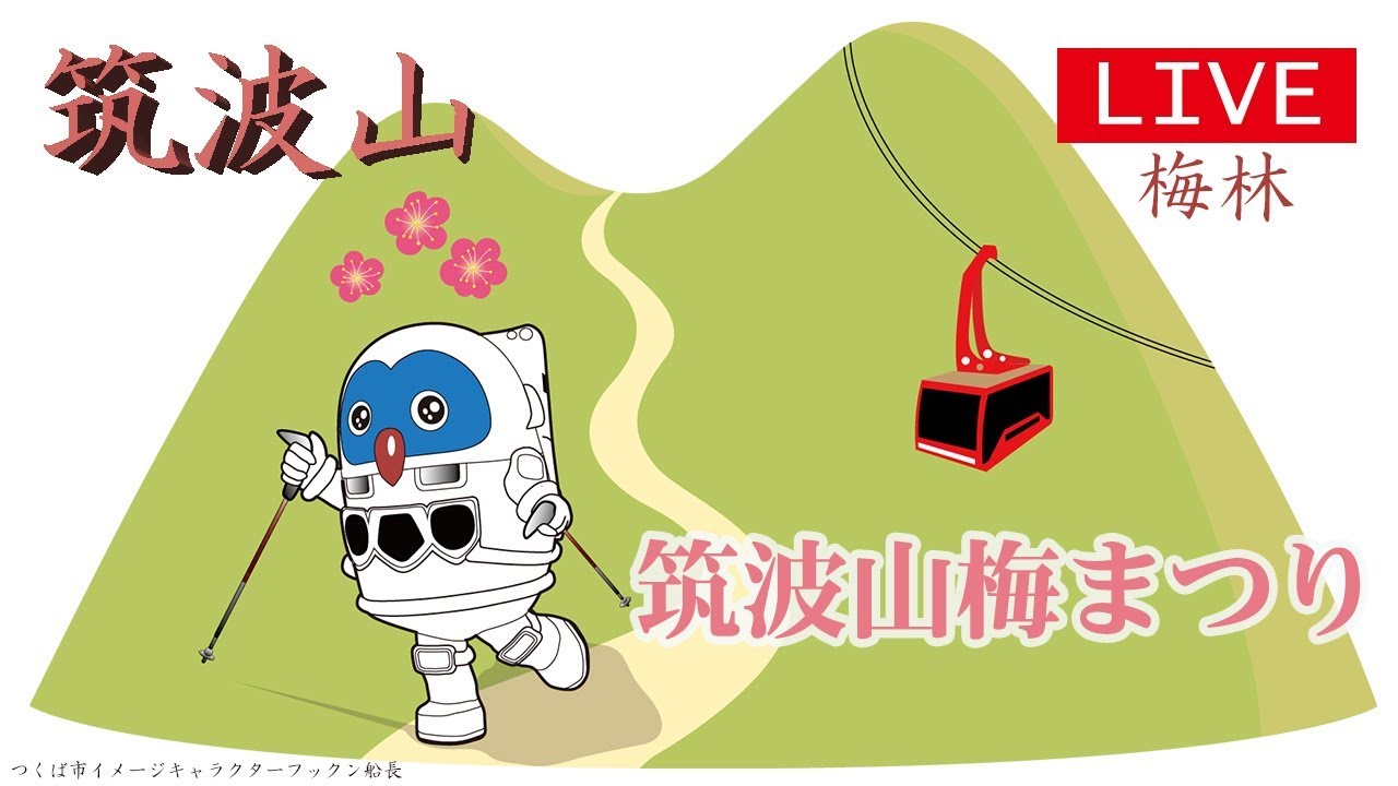 🌺筑波山　ライブカメラ【筑波山梅林】