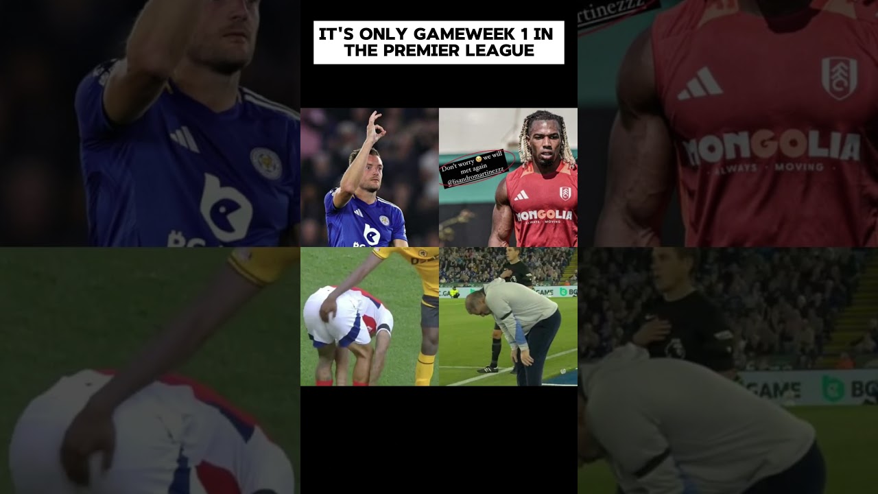 It's only gameweek 1 in the Premier League #meme #football #funny