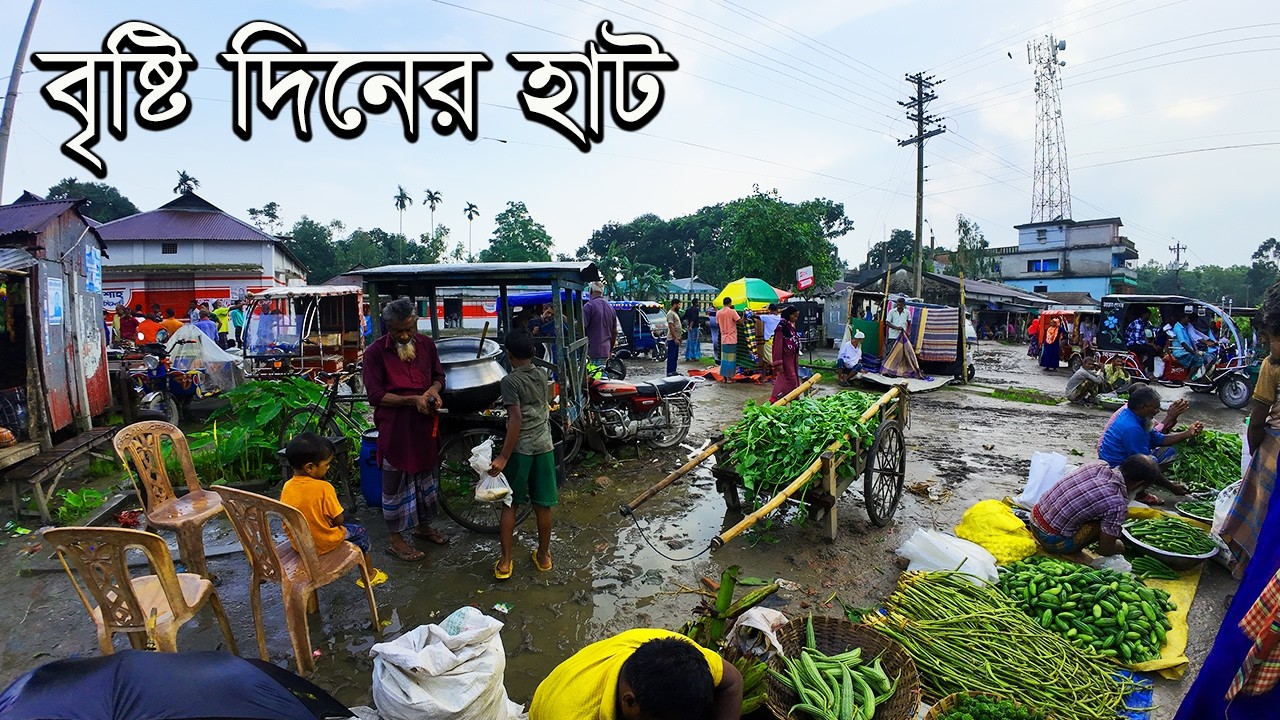 বৃষ্টি দিনের গ্রামীণ হাট। ইতিহাস, ঐতিহ্যের চন্দ্রকোণা বাজার। Rural Village Market। নকলা, শেরপুর ২০২৪