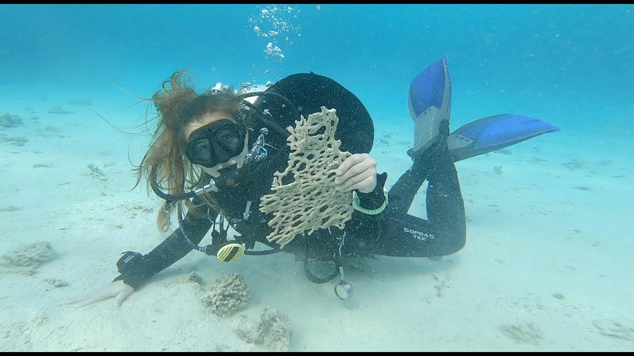 Kroko UW Nuweiba 2025 by KROKODIVE.CZ