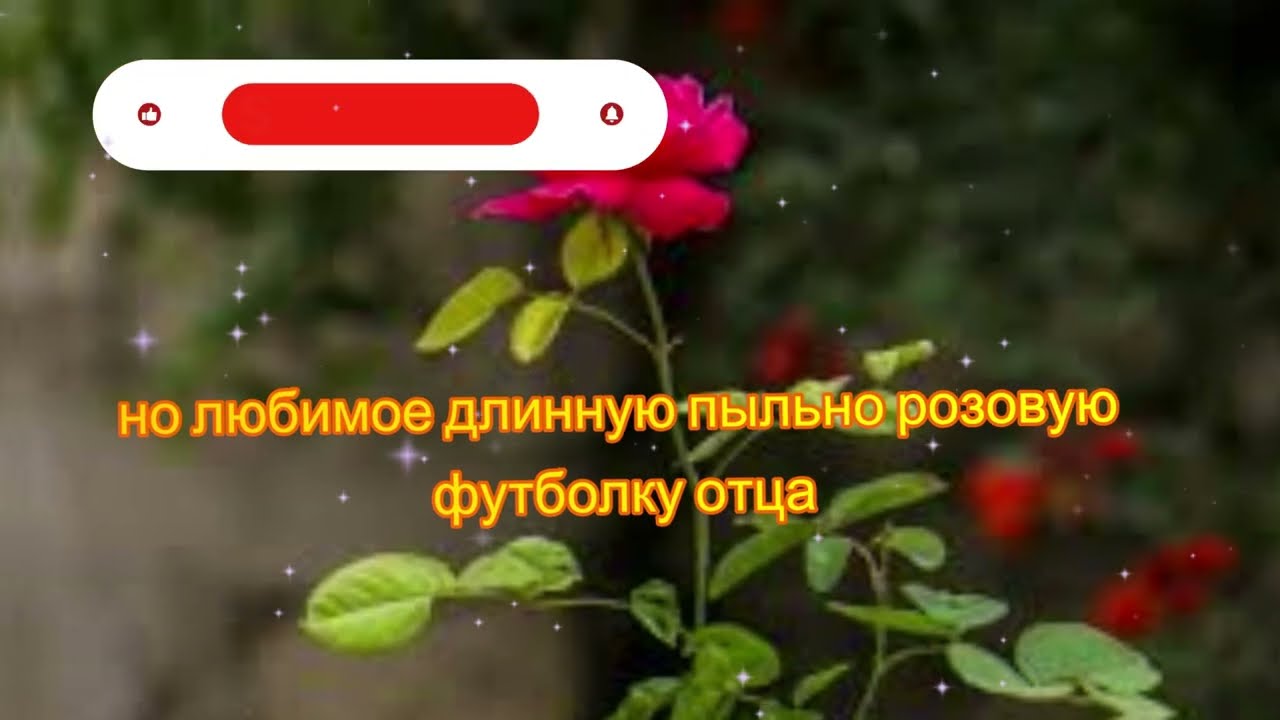 Я хотела быстрее до него дотронуться… но то, что произошло дальше, меня удивило