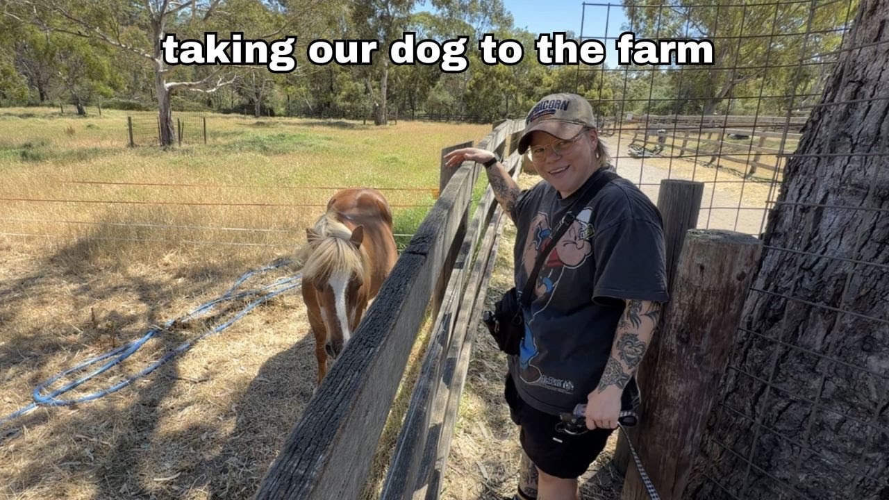 dog sees pig for first time