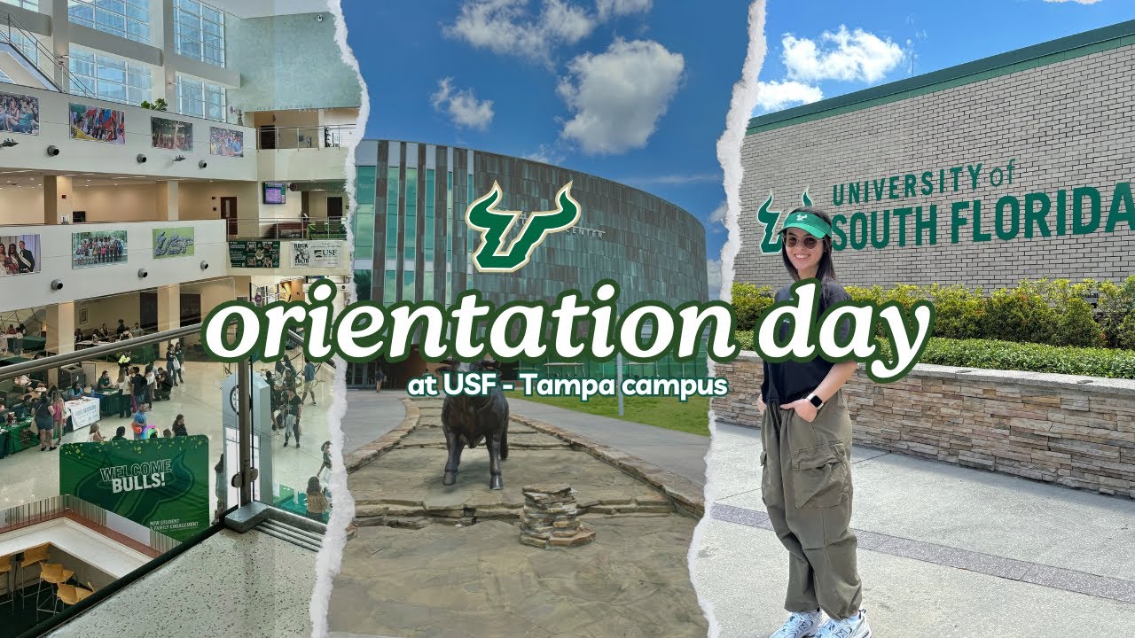 ORIENTATION DAY AT USF (University of South Florida) 💚💛 - legendado em português
