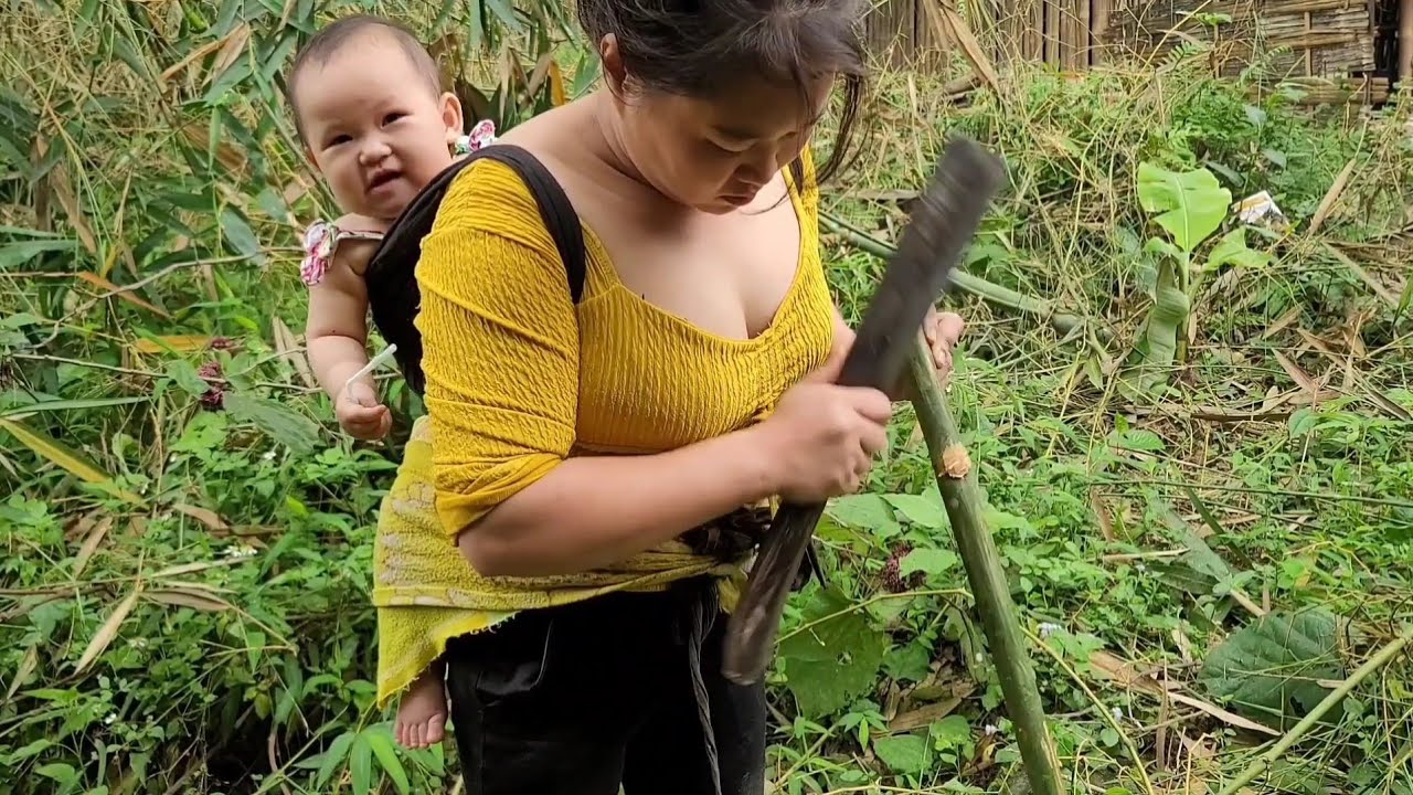 Harvesting and storing vegetables - single mom 